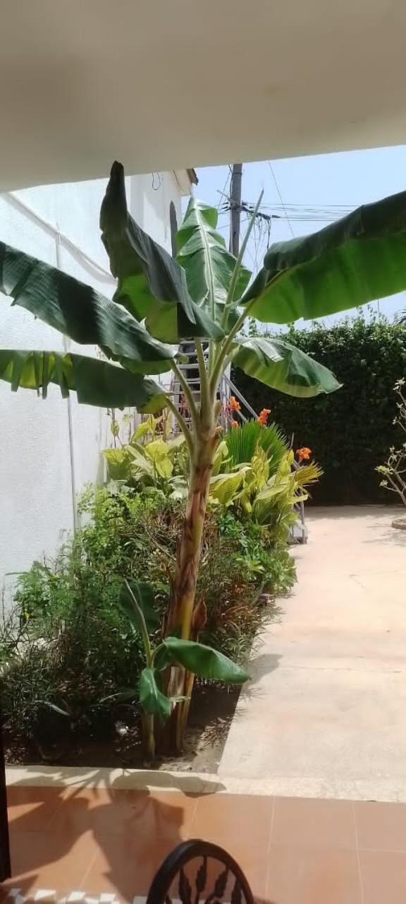 Riad Cote Jardin Saly Portudal Bagian luar foto